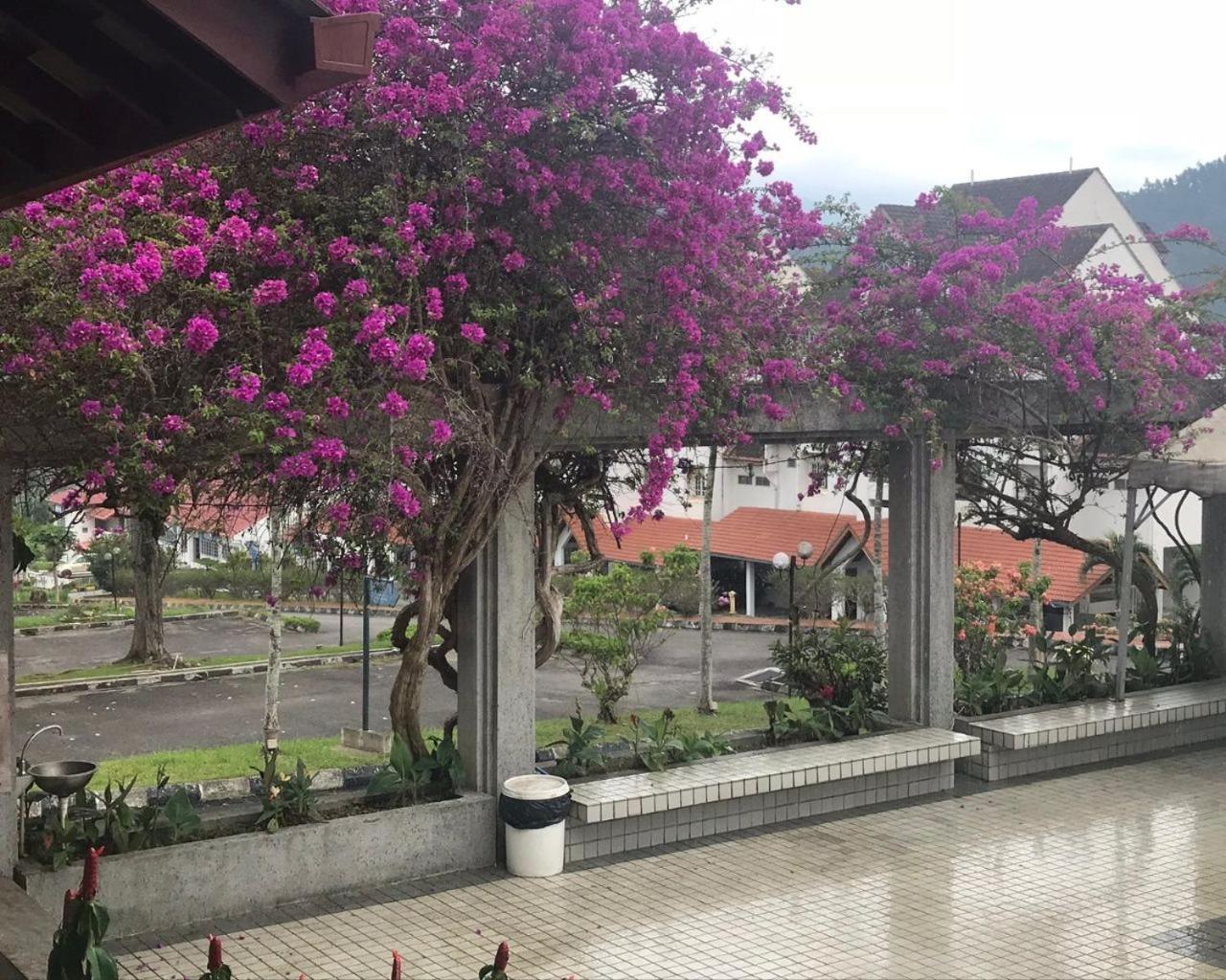 Thatniceplace In Selesa Hillhome, Bukit Tinggi, Bentong, Genting Exteriör bild
